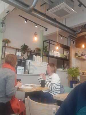 Spoke & Stringer Restore