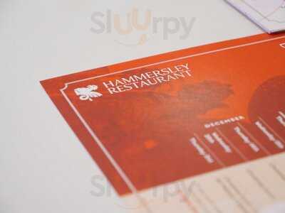 The Hammersley