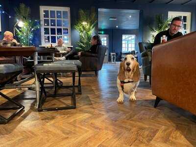 Caffeine&machine - The Bowl