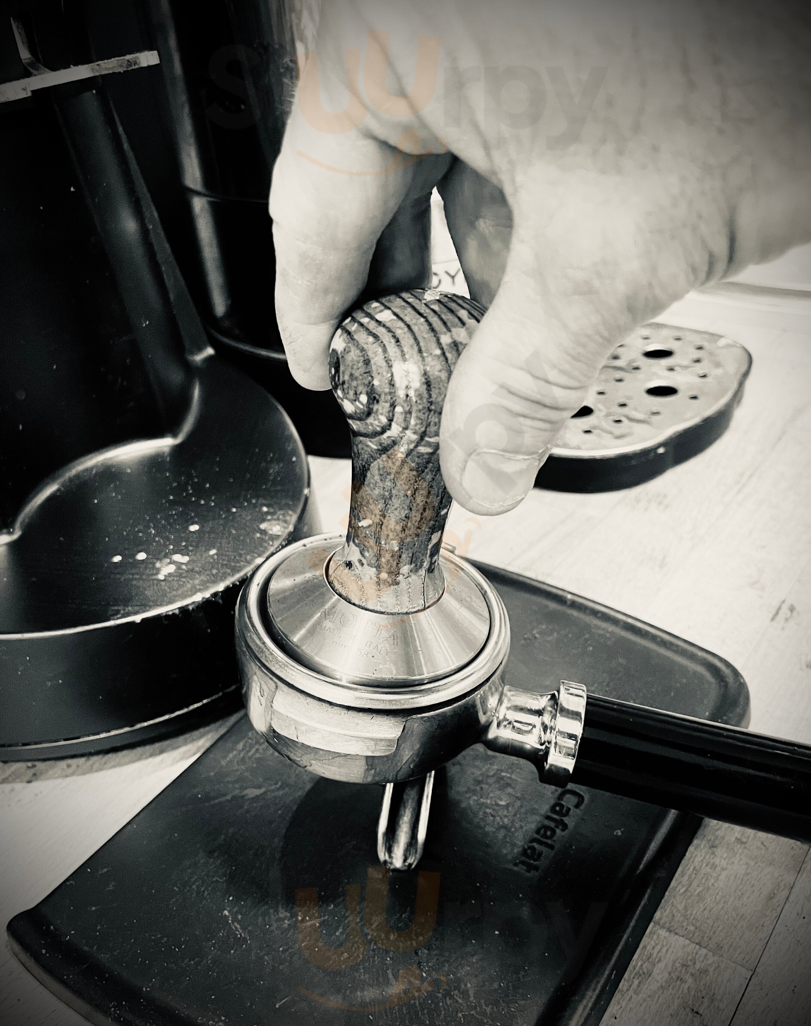 Fortunate Son Coffee Co.
