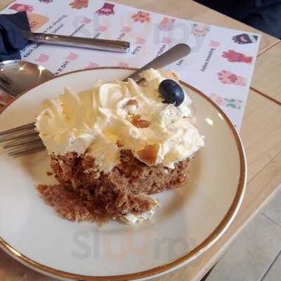 Jackson's Rescue Cat Cafe