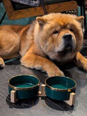 Hinterland - Alcohol-free Bar & Cafe