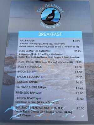 The Guillemot, Westward Ho!