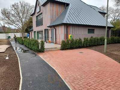 Pistachios In The Park. Claygate