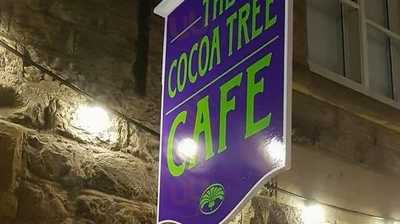 The Cocoa Tree