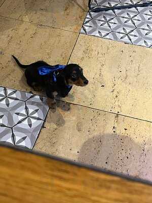 Revolution Liverpool - St Peters Square