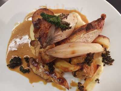 The Rattle Owl & Tansy Beetle Bar