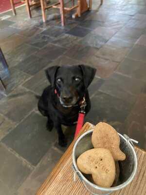 Cefn Mably Arms Inn - Photo 8