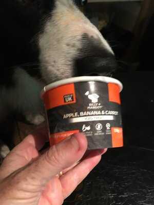 Forest Stoves And Fires Limited