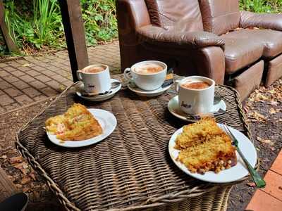 Forest Stoves And Fires Limited