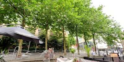 Mocka Lounge Cardiff