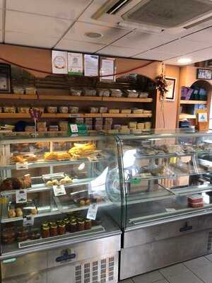 Vegetarian Food Studio