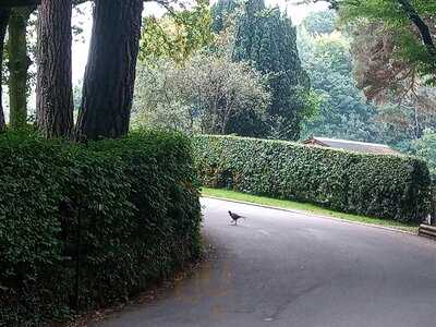 The Lingholm Kitchen & Walled Garden