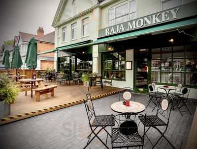 Raja Monkey - Hall Green