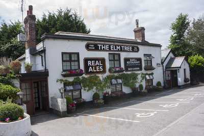 The Elm Tree
