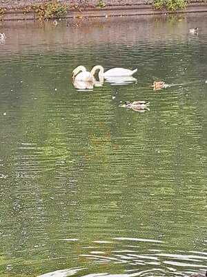 East Park Fish Restaurant