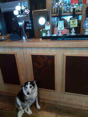 Foundry Hill Bar And Lounge