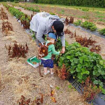 Marton Manor Farm Shop And Tea Rooms