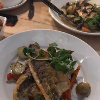 Level Cafe Bar & Grill