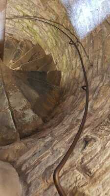 Giovanni's In Park Place