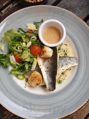 Horse & Groom - Pub & Grill