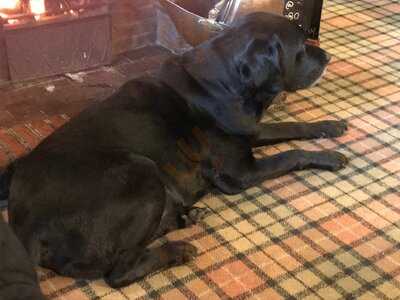 The Plough At Normanton