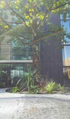 Grove Beer Tap And Grill