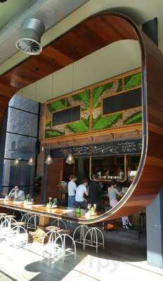 Grove Beer Tap And Grill