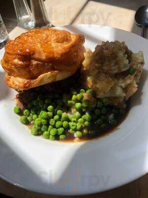 Fox On The Downs - Photo 8