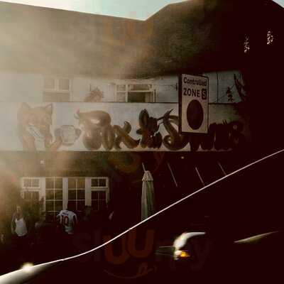 Fox On The Downs - Photo 7