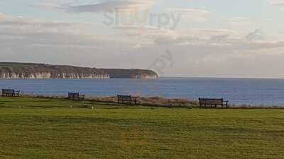 Harbour Fisheries Bridlington