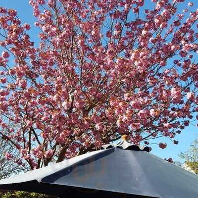 The Boys' Cafe And Eatery