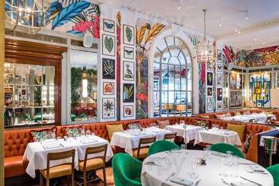 The Ivy In The Lanes