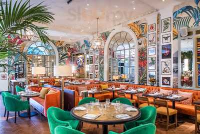 The Ivy In The Lanes