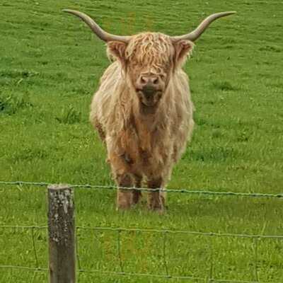 Wellington Farm Cafe & Tearooms