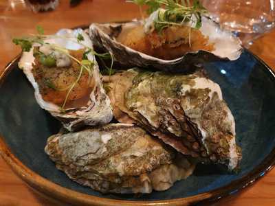 Matt Healy X The Foundry