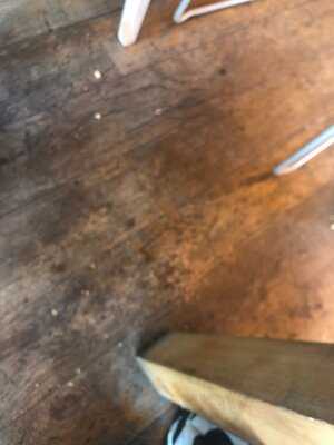 Starling Independent Bar Cafe Kitchen