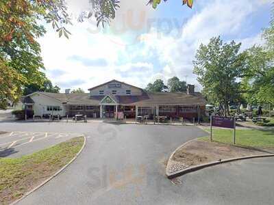 Forest Park Table Table