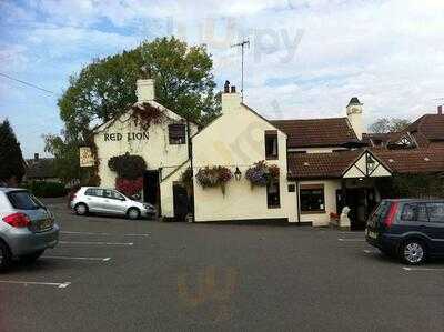 The Red Lion