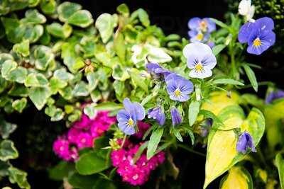 The Wine Room Mapperley