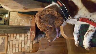 Spital Inn & Restaurant