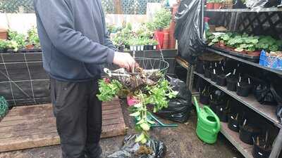 Jacksdale Garden Centre