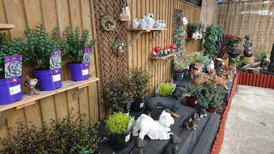 Jacksdale Garden Centre