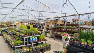 Jacksdale Garden Centre
