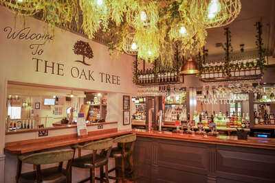 Oak Tree