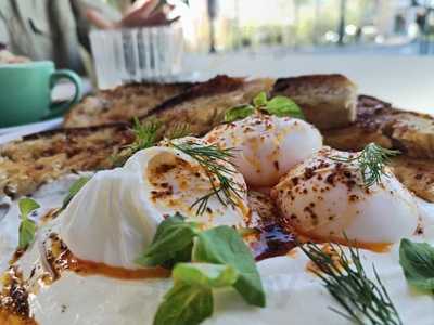 The Collectorium Cafe