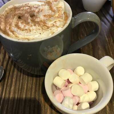 The New Bookshop & Coffee Shop