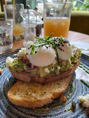 The Brunch & Cocktail Club