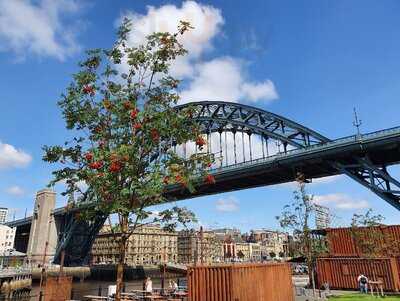 By The River Brew Co.