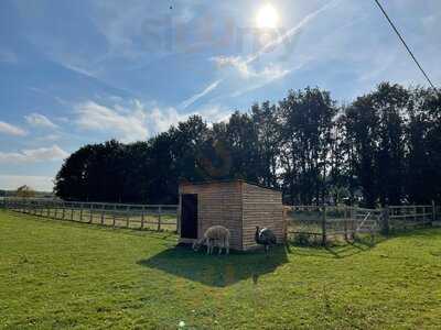 Dovecote Barn - Cafe, Bar & Bistro